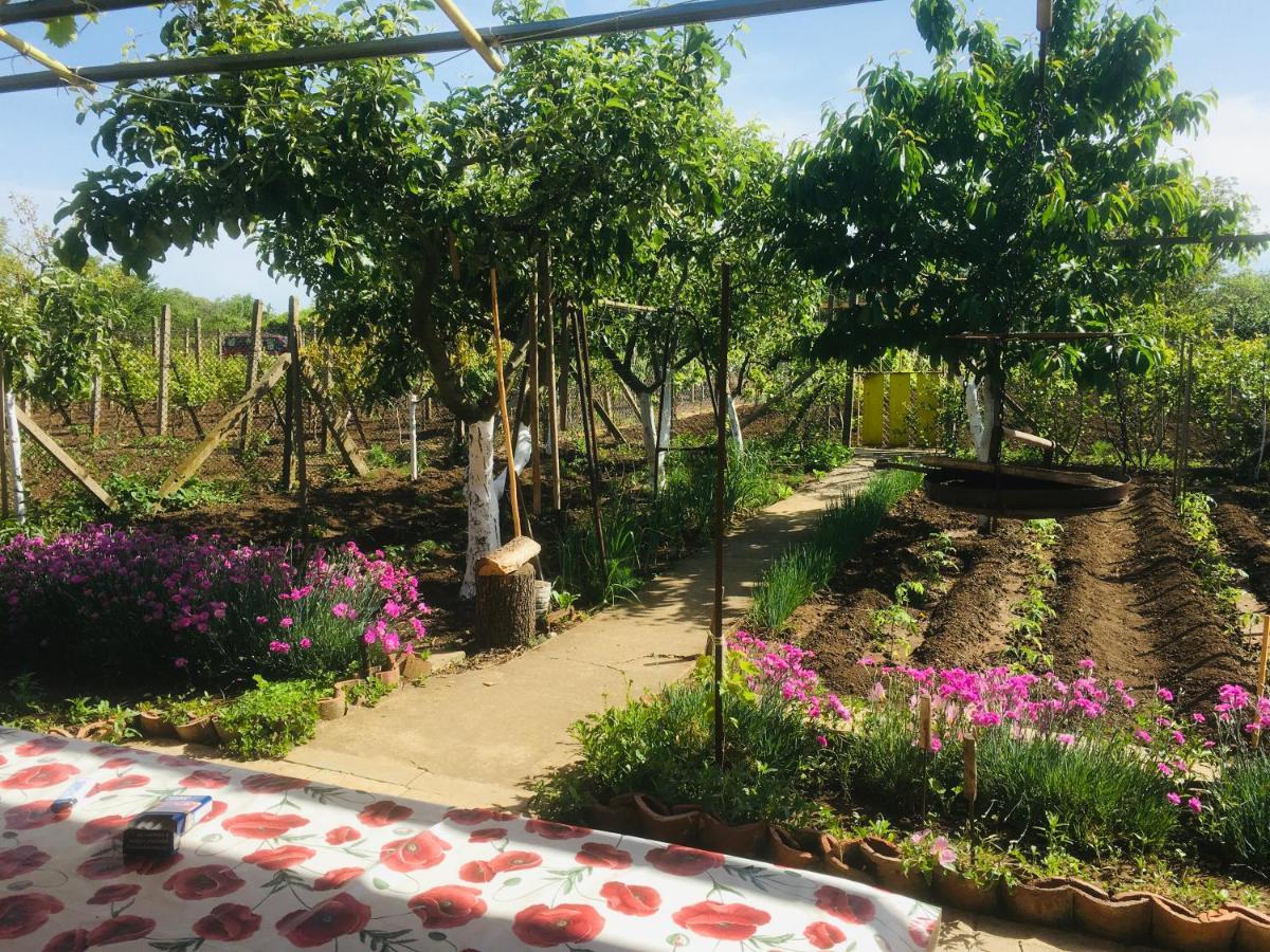 Бунгало- Bungalow Kavarna Ngoại thất bức ảnh