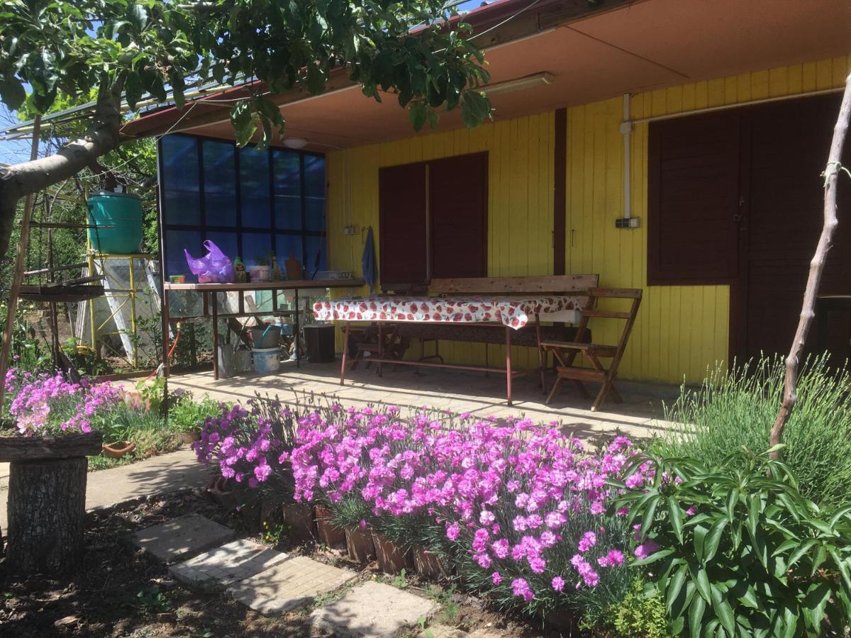 Бунгало- Bungalow Kavarna Ngoại thất bức ảnh